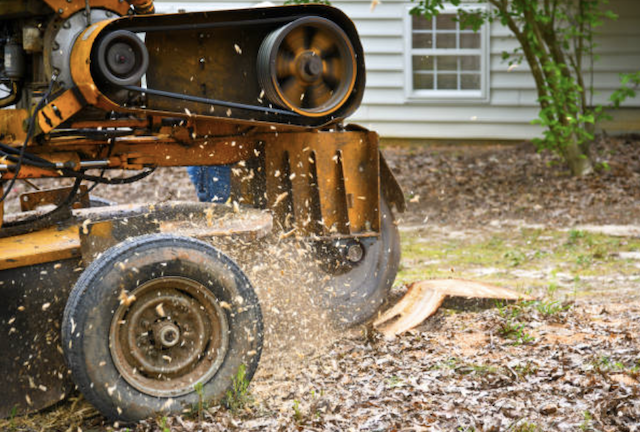 stump grinding tarrant tx